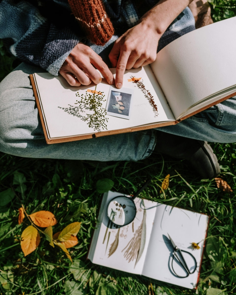 Visual Diaries: Finding Light in the Everyday