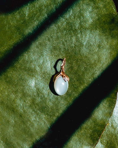 front view of a pendant on a lily pad, featuring sunlight enhancing the white moonstone and gold-plated silver setting