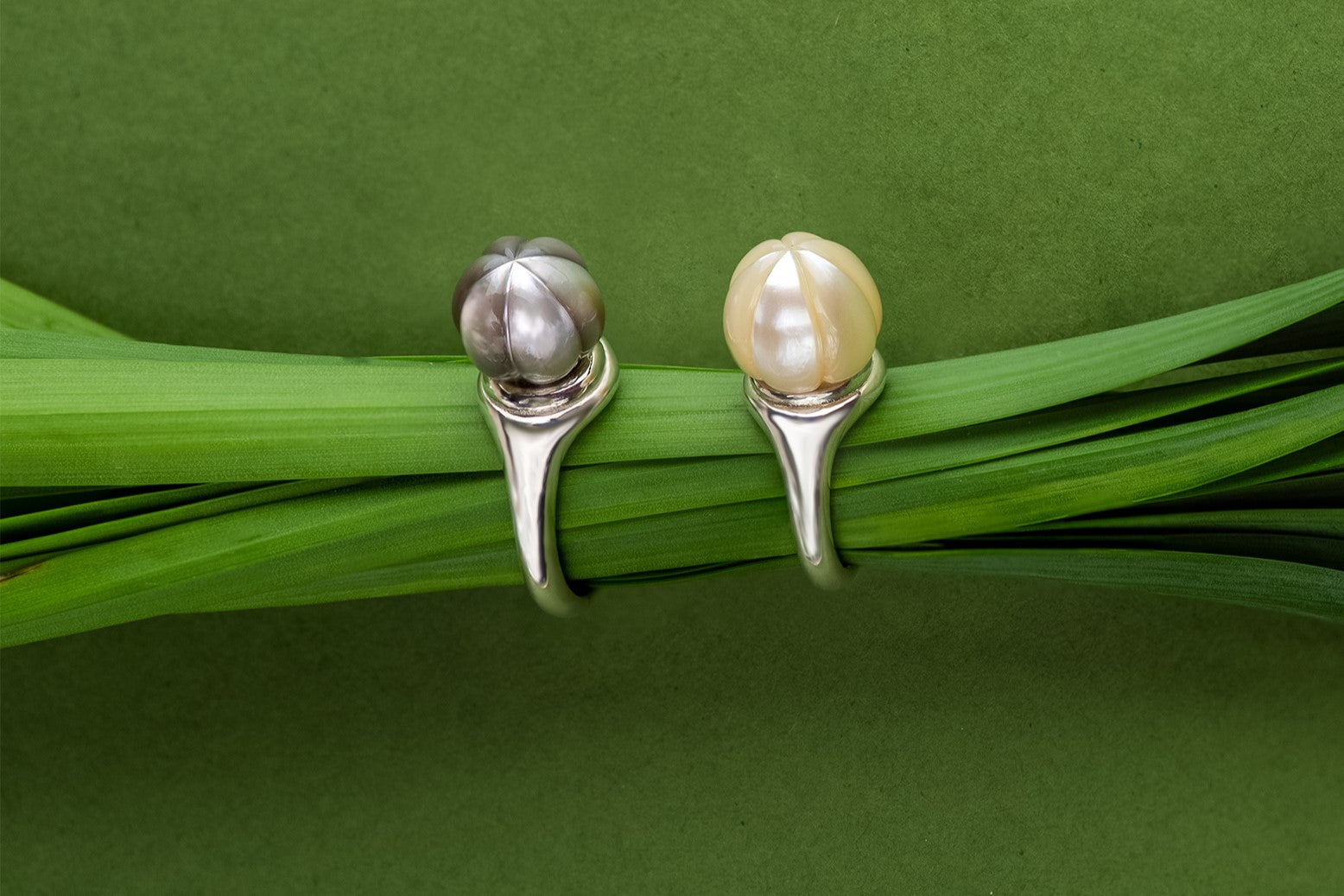 Two pearl rings on green grass with a green background